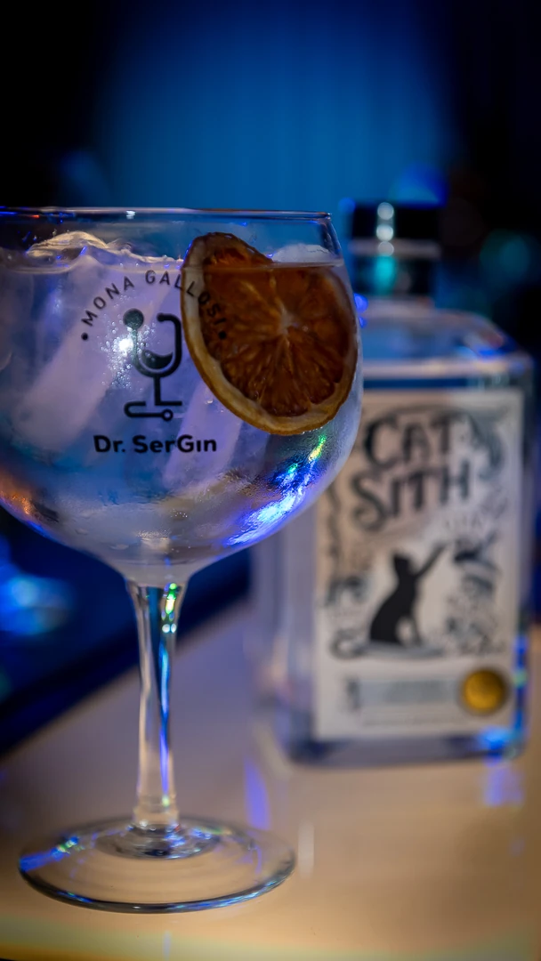 Cat Sith Gin - Artonic fest5